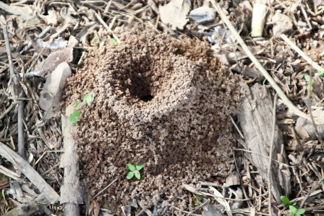 1758597636163262.png 图片2.png