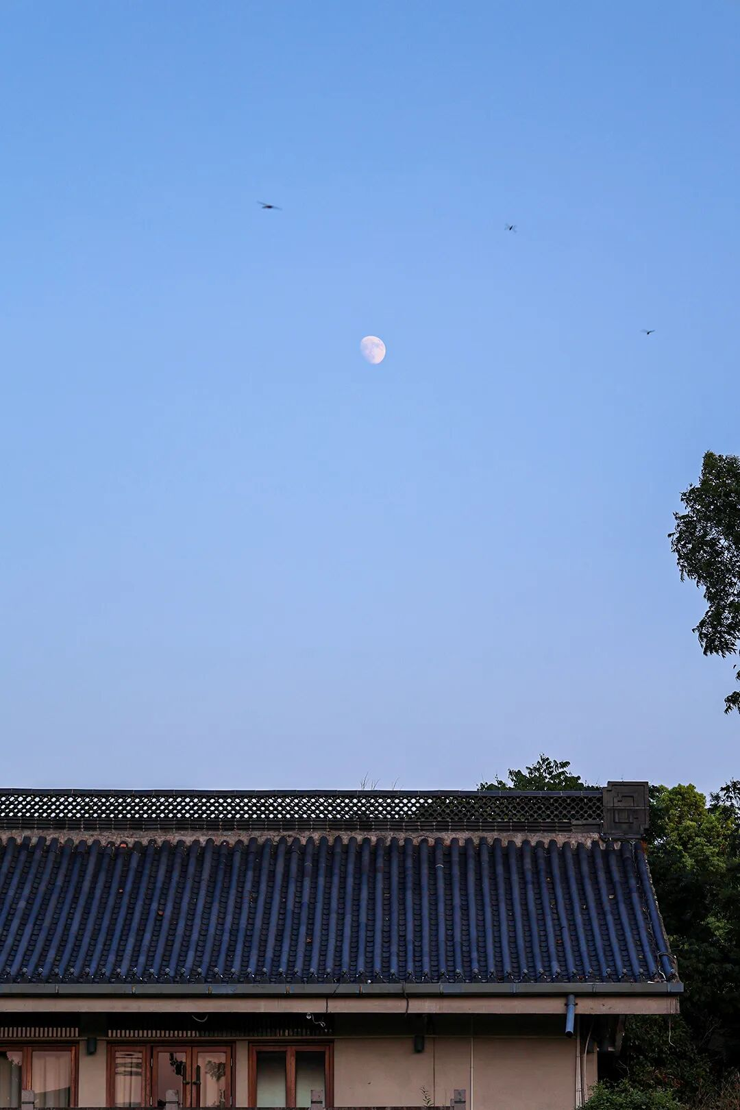 1758597687844111.png 1758597687844111.png