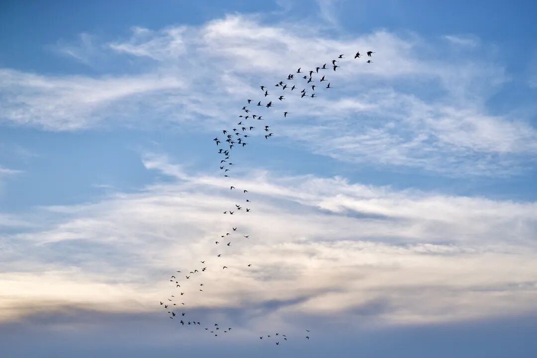 1759989699434664.png 1759989699434664.png