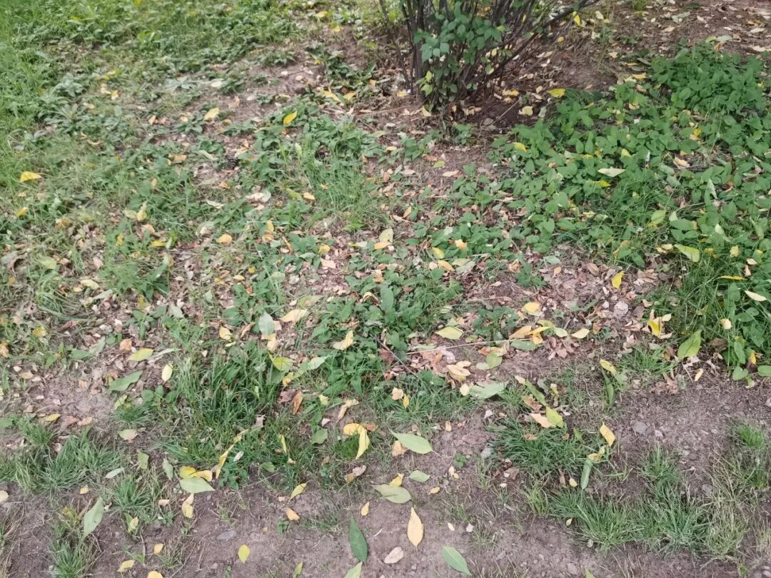 1759989765717382.png 1759989765717382.png